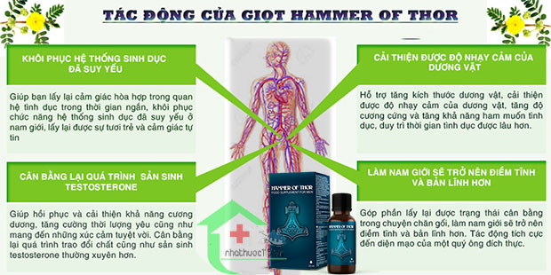 Tác dụng của hammer of thor Tác dụng của hammer of thor