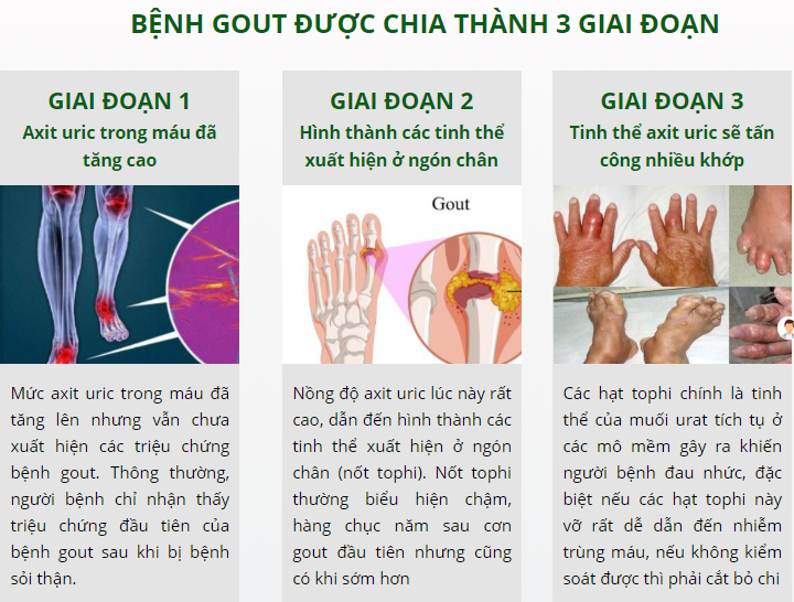 an thống đan