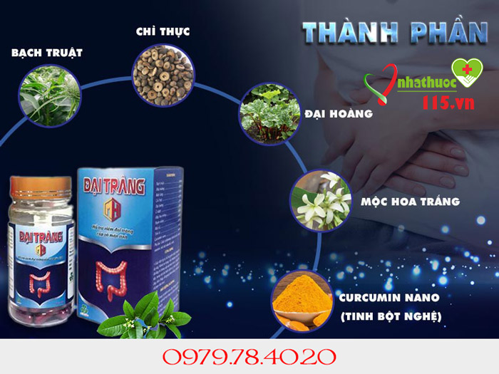thành phần đại tràng mh