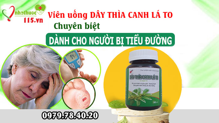 công dụng dây thìa canh lá to