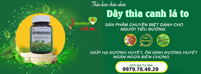 hướng dẫn sử dụng dây thìa canh lá to