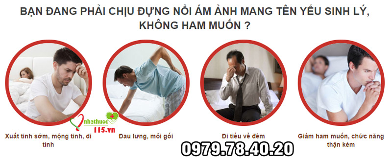 đối tượng estromen