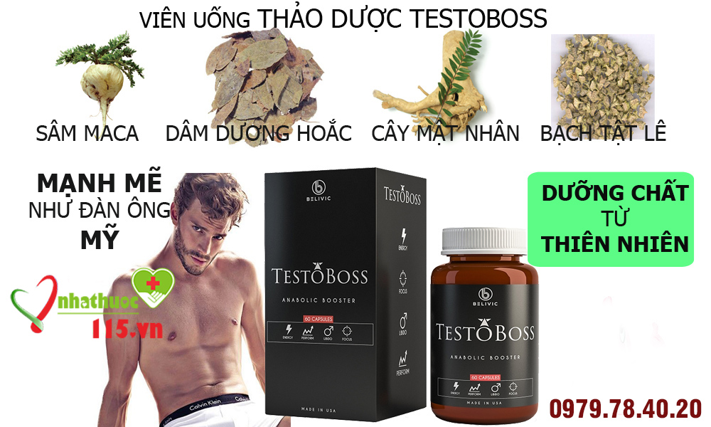 thành phần testoboss