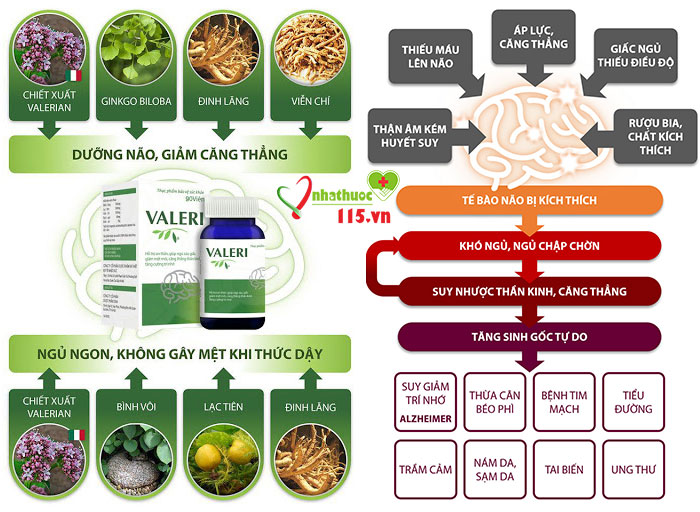 Thành phần của Valeri