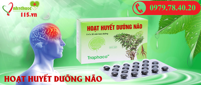 Hoạt huyết dưỡng não Traphaco
