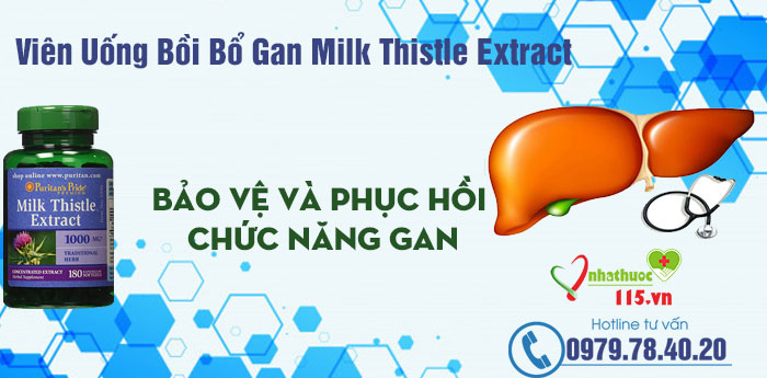 Milk Thistle Extract giới thiệu