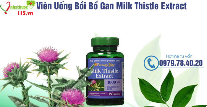 Milk Thistle Extract thành phần