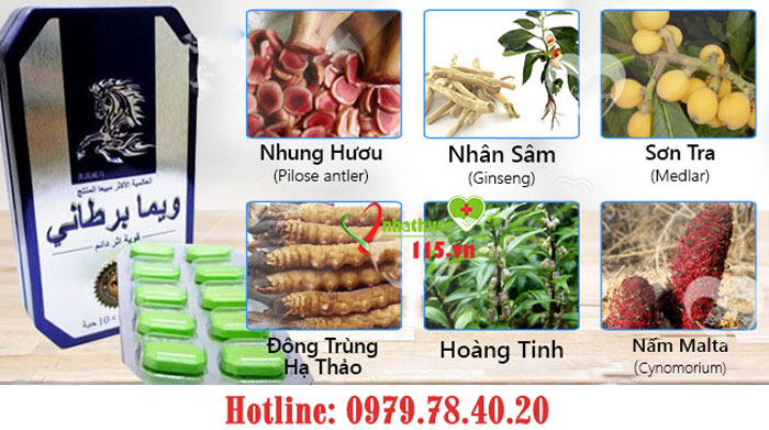 thành phần Ngựa thái