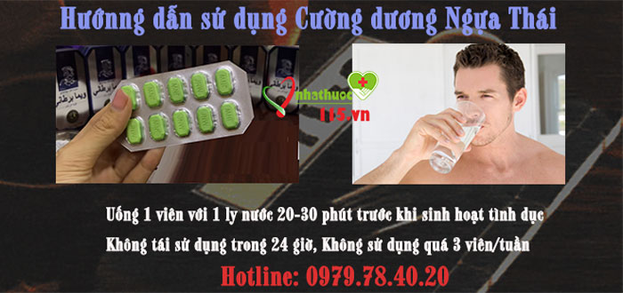 cách dung Ngựa thái