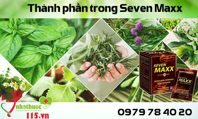 seven maxx thành phần