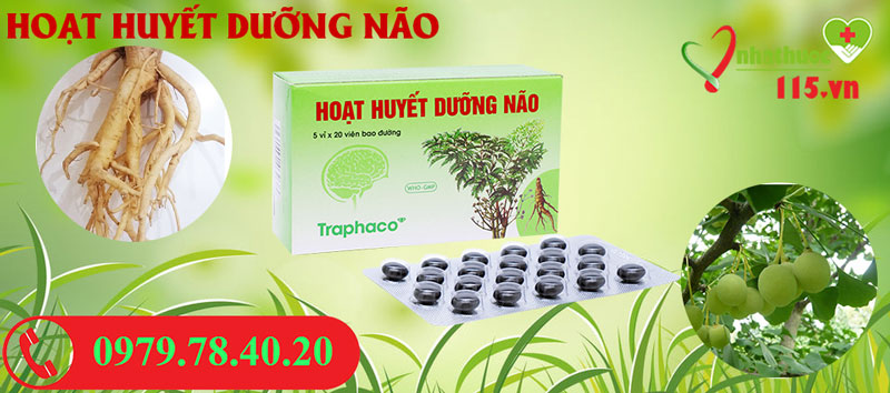 Thành phần Hoạt huyết dưỡng não Traphaco