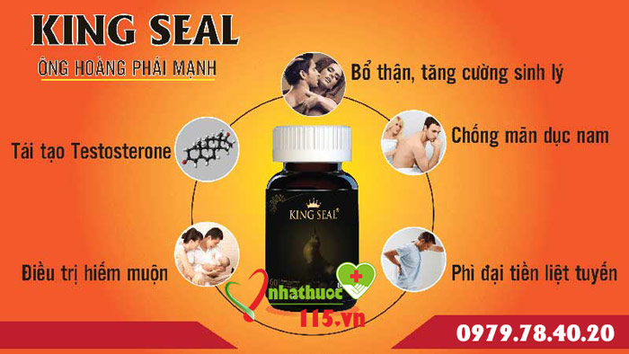 cách dùng king seal