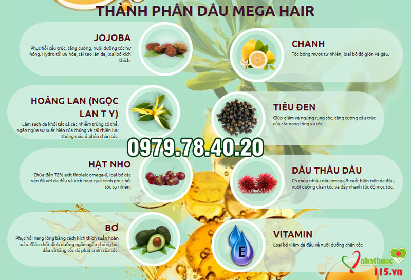 thành phần mega hair