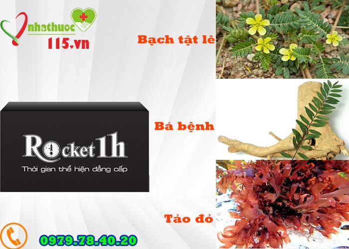 thành phần của rocket 1h